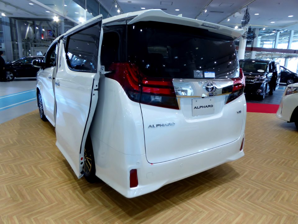 Toyota ALPHARD SA "C Package" 2WD (GGH30W) rear