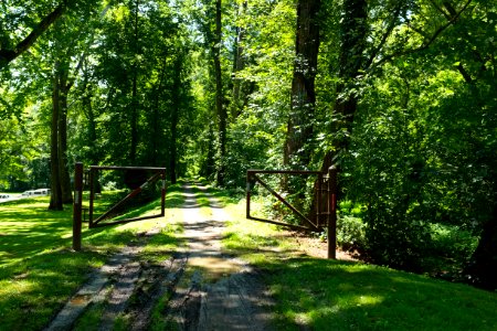 Towpath of Chesapeake and Ohio Canal at Spring Gap looking upstream