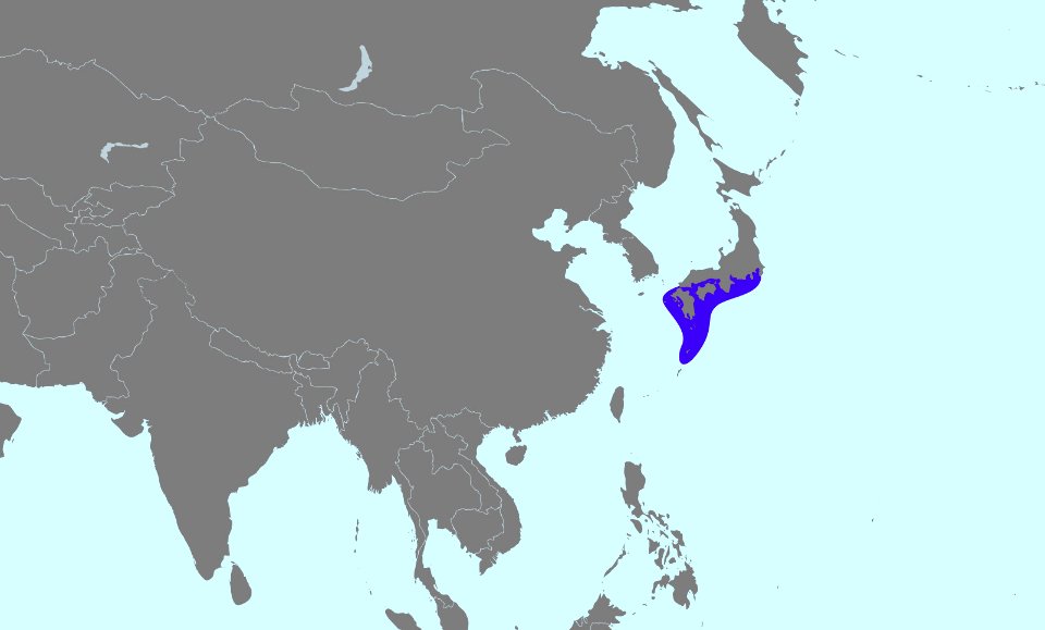 Toxopneustes elegans range