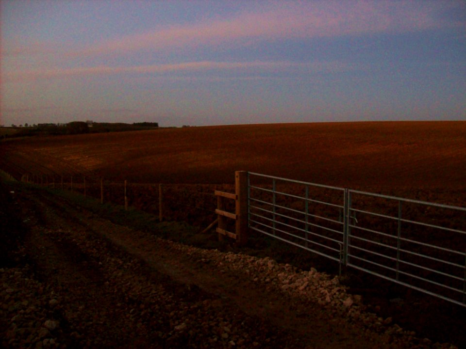 Towton, battlefield walk 2