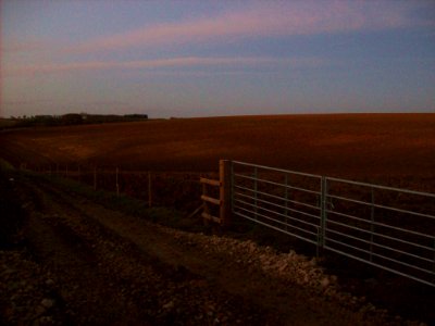 Towton, battlefield walk 2 photo