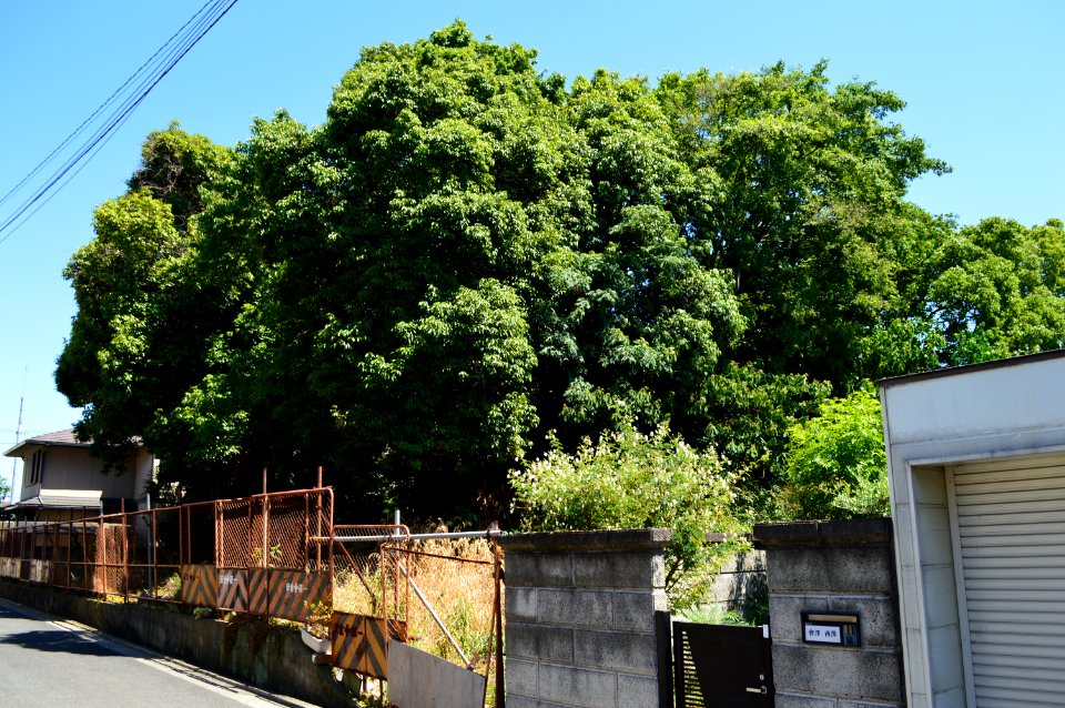 Touzuka Kofun (Sakai), funkyu