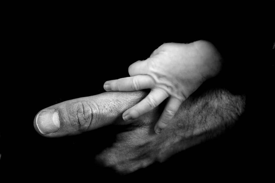 People fatherhood connectedness