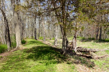 Towpath - Farmington Canal Aqueduct - Farmington, CT - DSC02157