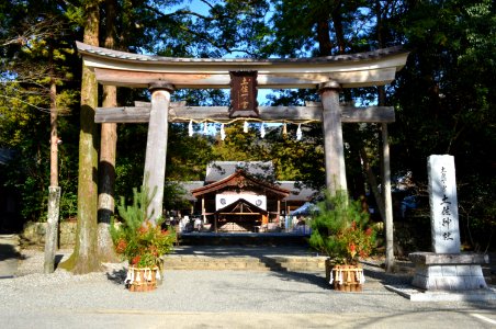 Tosa-jinja torii