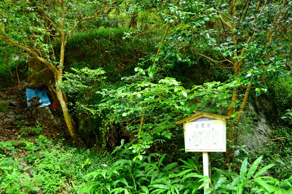 Tosa-jinja Igomori-iwa