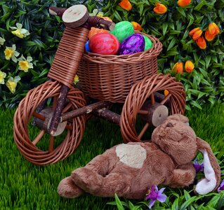 Easter easter eggs bike photo