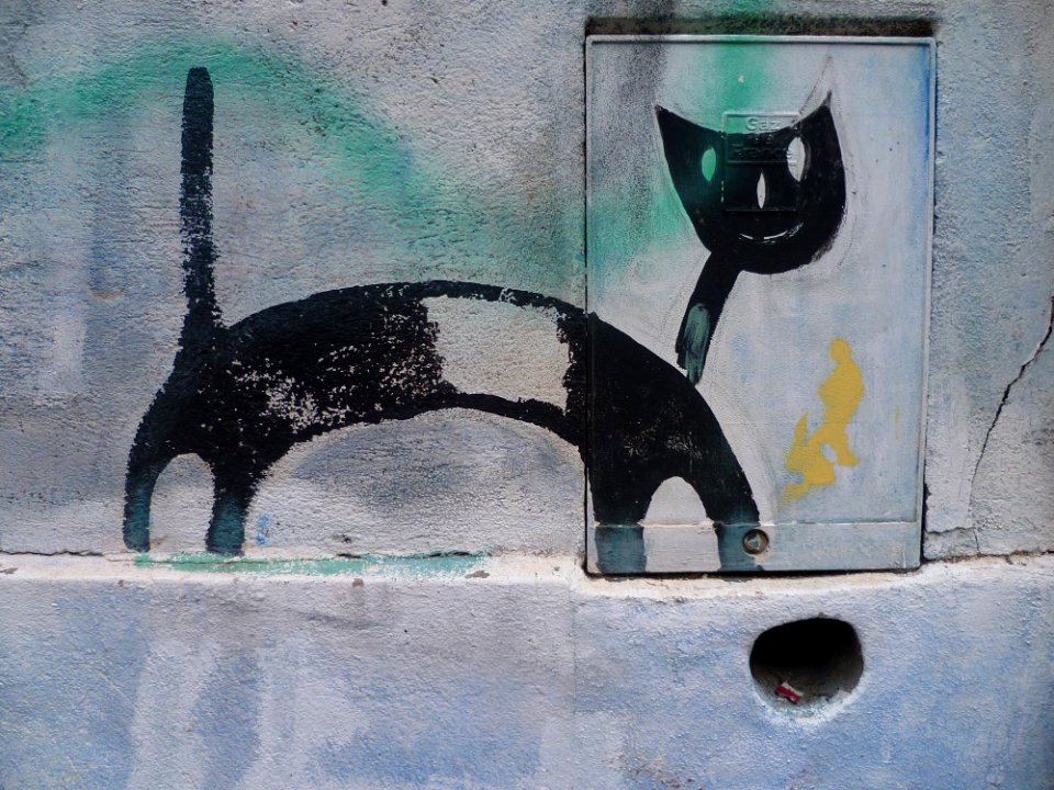 Toulouse - Rue Gramat - 20110130 (1)