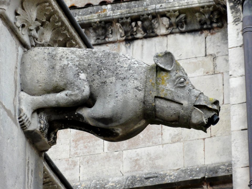 Toul, cloître de la Cathédrale Saint-Étienne, gargouille (02)