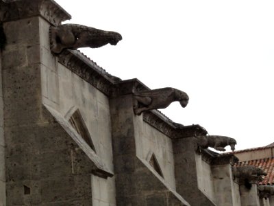 Toul, cloître de la Cathédrale Saint-Étienne, gargouilles (04)