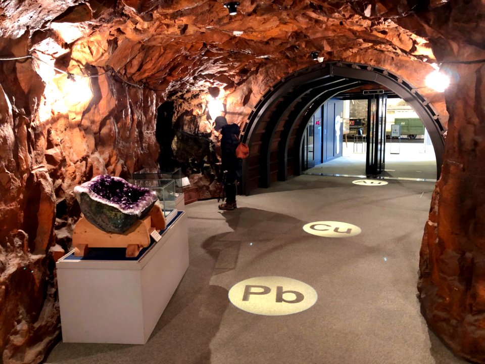 Toyohashi-Museum-of-Natural-Resources-1