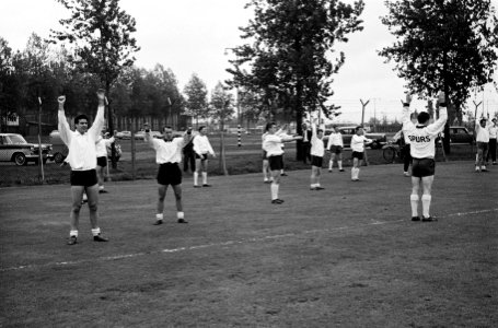 Tottenham Hotspurs traint onder leiding van trainer Michelson op bijvelden Feije, Bestanddeelnr 915-1563