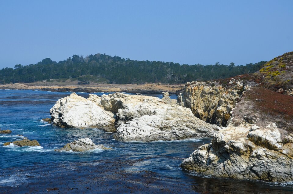 West coast point lobos landscape