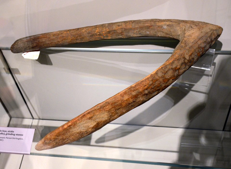 Torino Museo Egizio 21072015 05 hoe