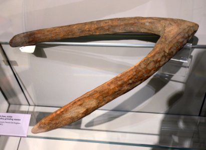 Torino Museo Egizio 21072015 05 hoe