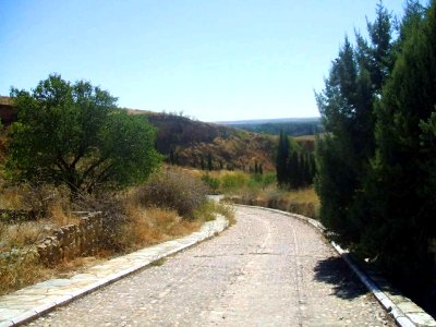 Toro - Bajada al Puente de Piedra