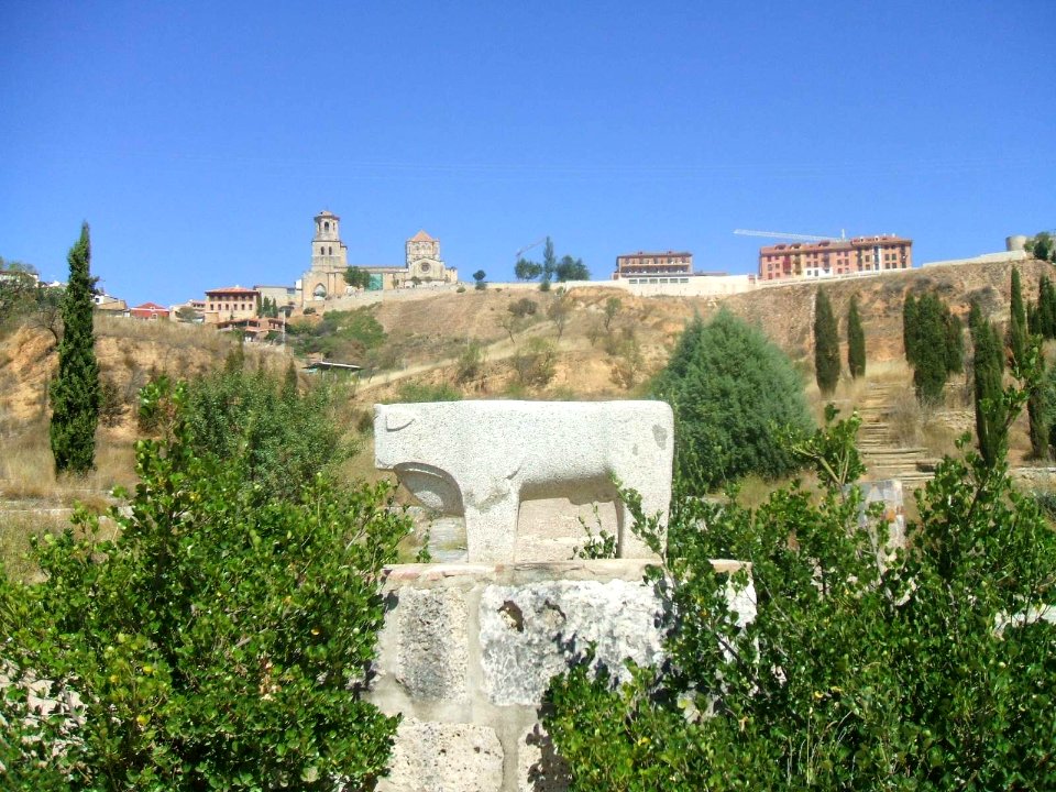 Toro - Puente de Piedra 2