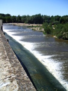 Toro - Puente de Piedra 3