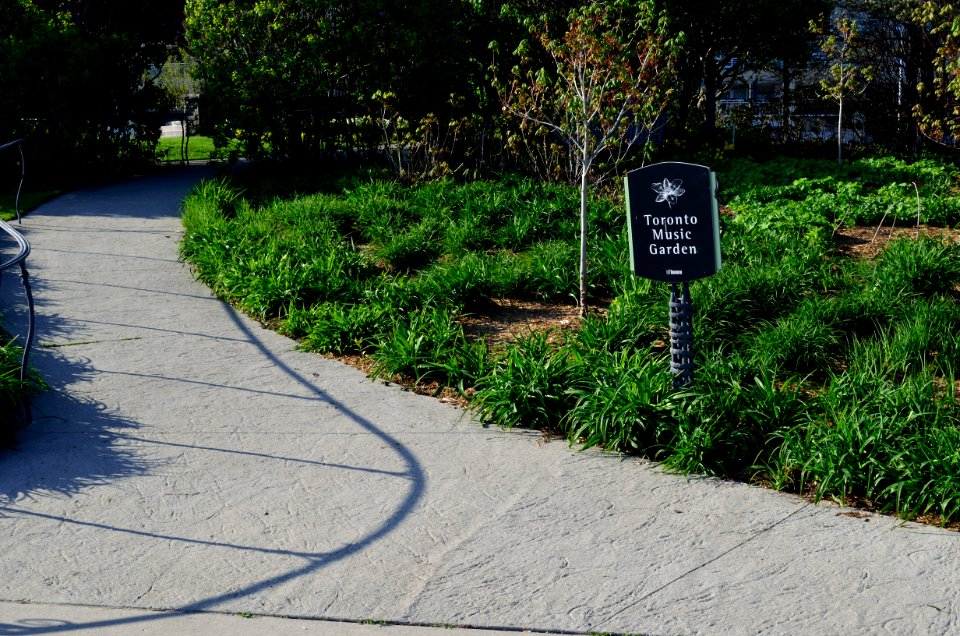 TorontoMusicGarden9