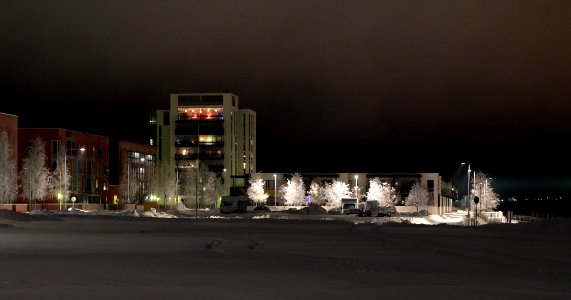 Toppilansaari Oulu 20121229
