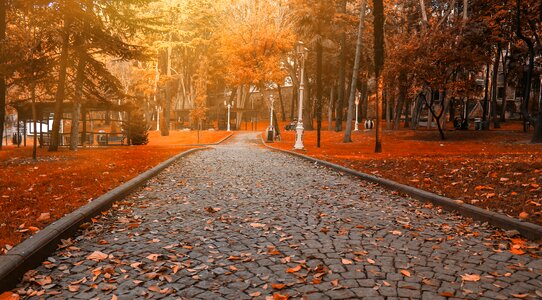 Nature istanbul turkey
