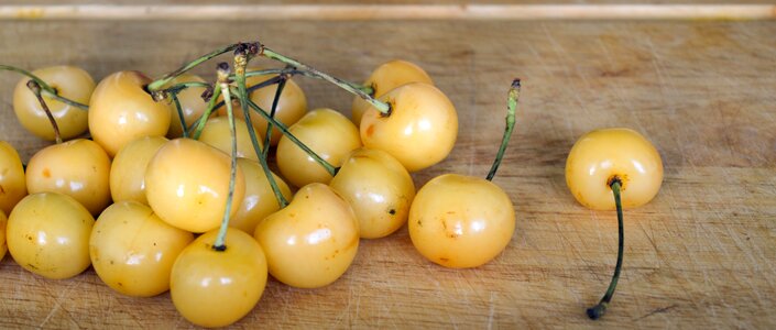 Summer berry food photo