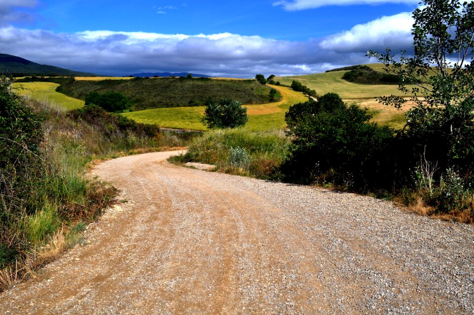 Dirt road green landscape