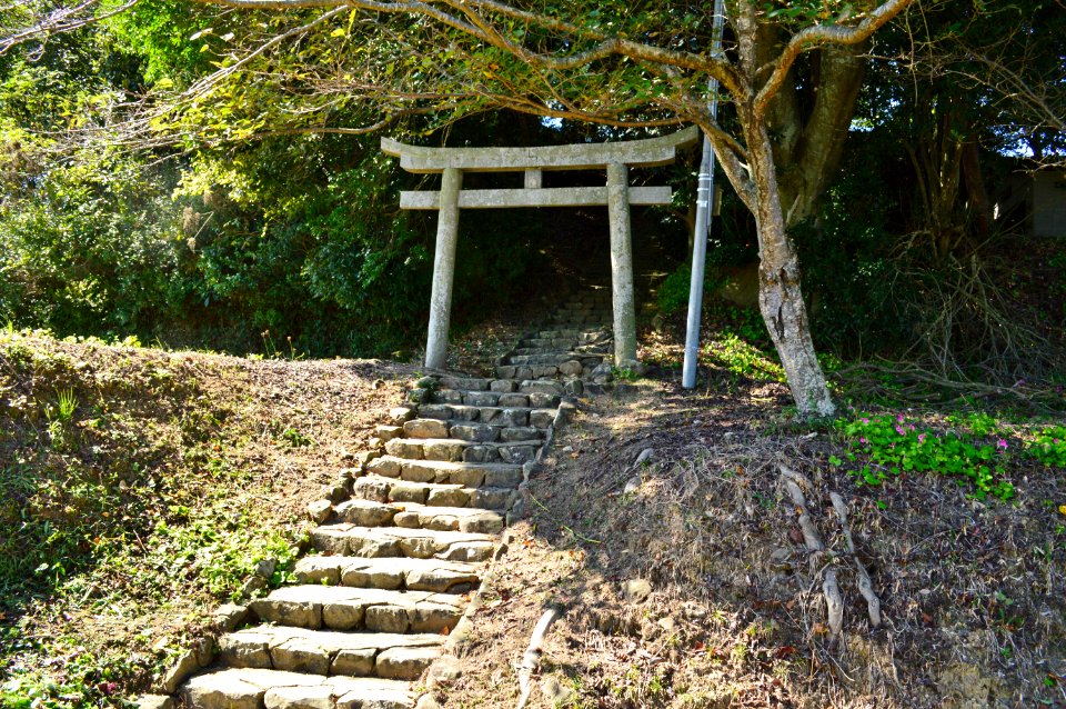 Tomida Chausuyama Kofun, kouenbu-3