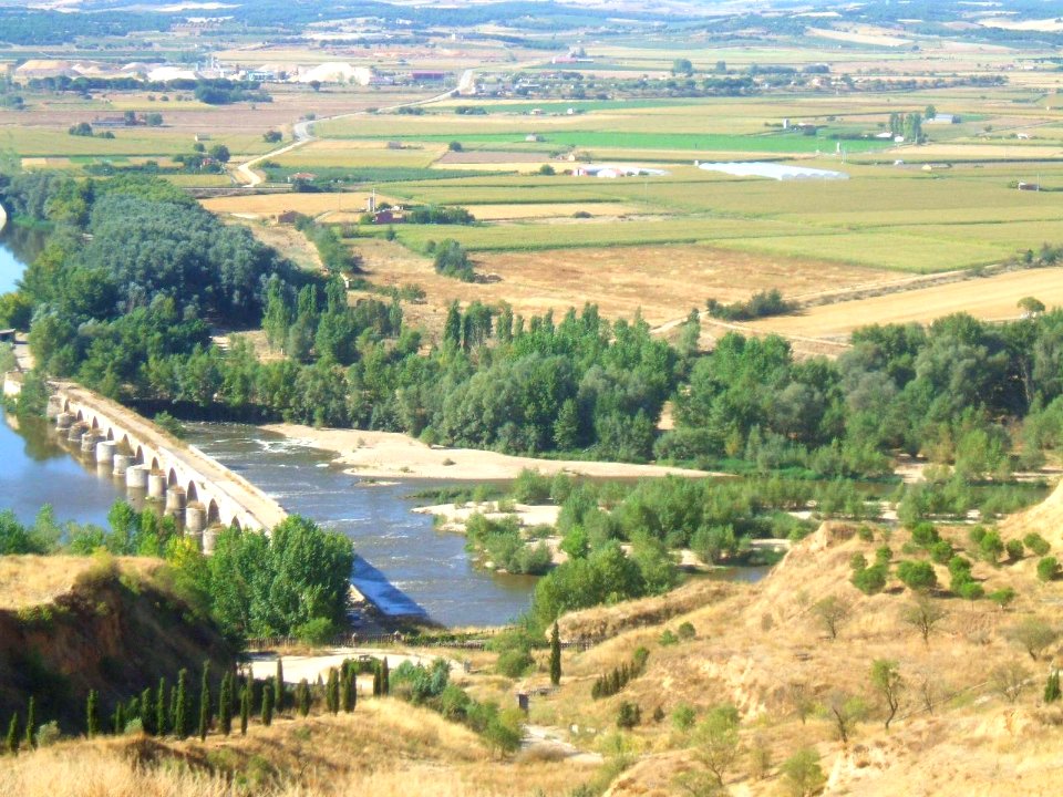 Toro - Puente de Piedra 1