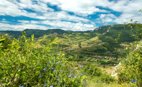 Torocko In Romania (185643715)