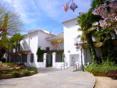 Tomelloso - Museo Antonio López Torres 1
