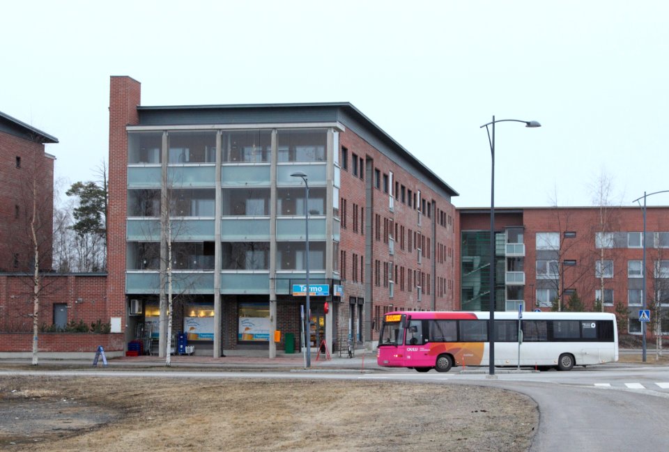 Toppilansaari Oulu 20140414