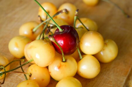 Unlike berry society