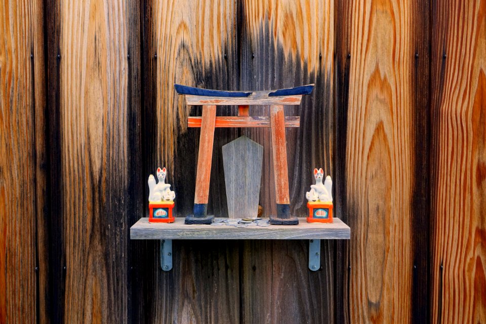 Torii-ette - Kyoto, Japan - DSC07412