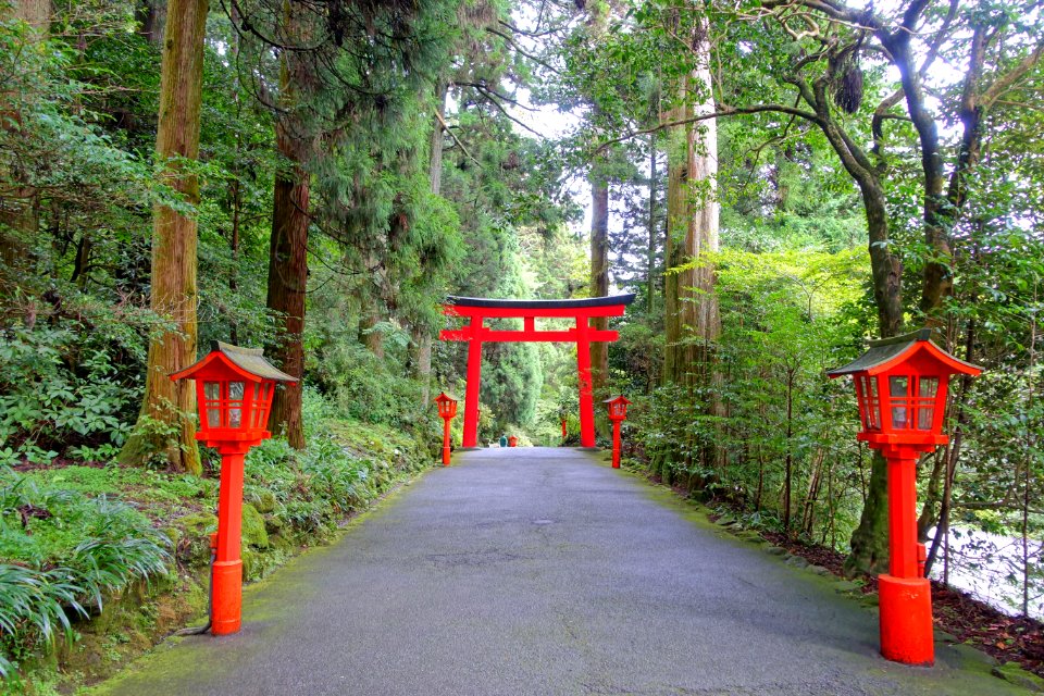 Torii - Hakone-jinja - Hakone, Japan - DSC05886