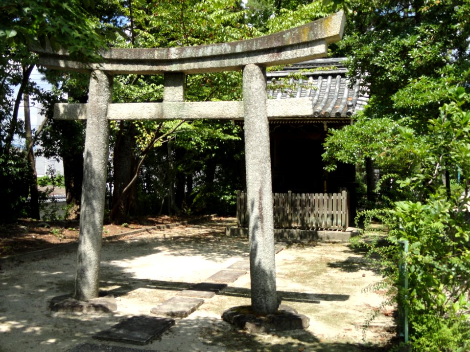 Torii - Hyakumanben chion-ji - Kyoto - DSC06582