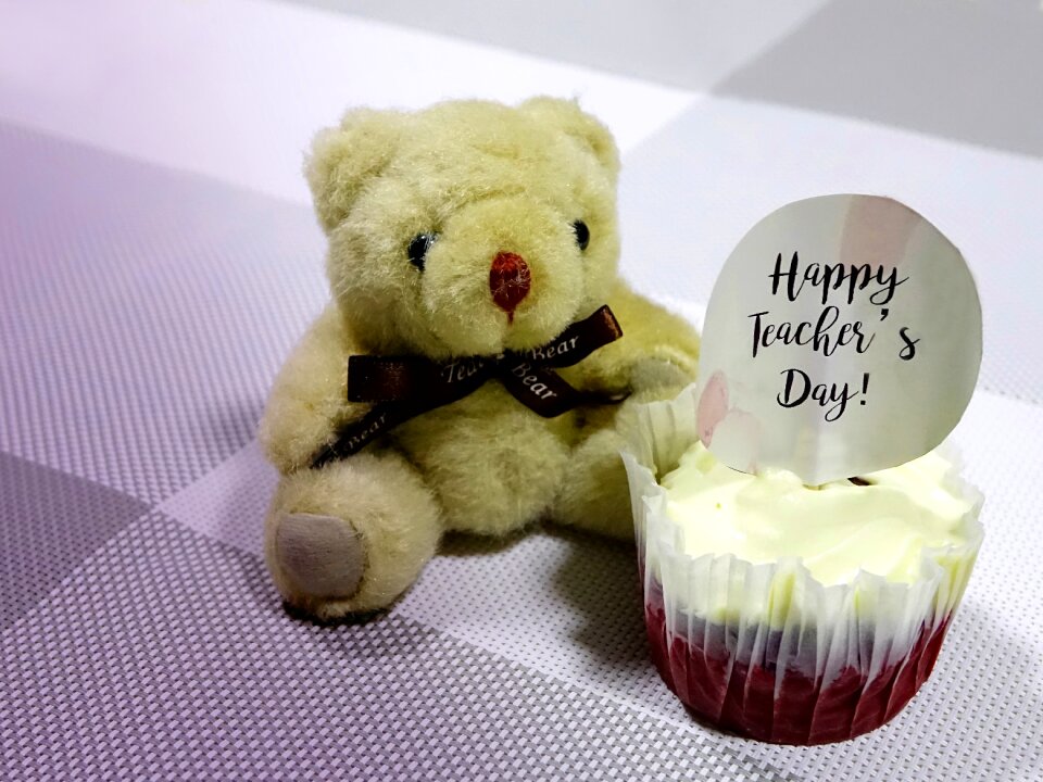 Cupcake bear toy