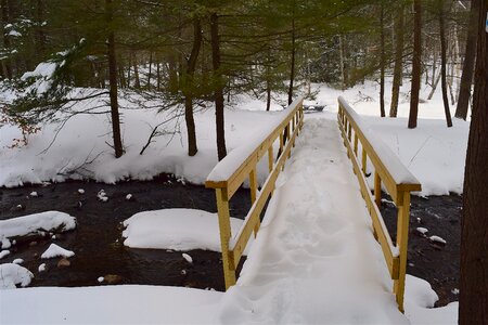 Stream creek winter photo