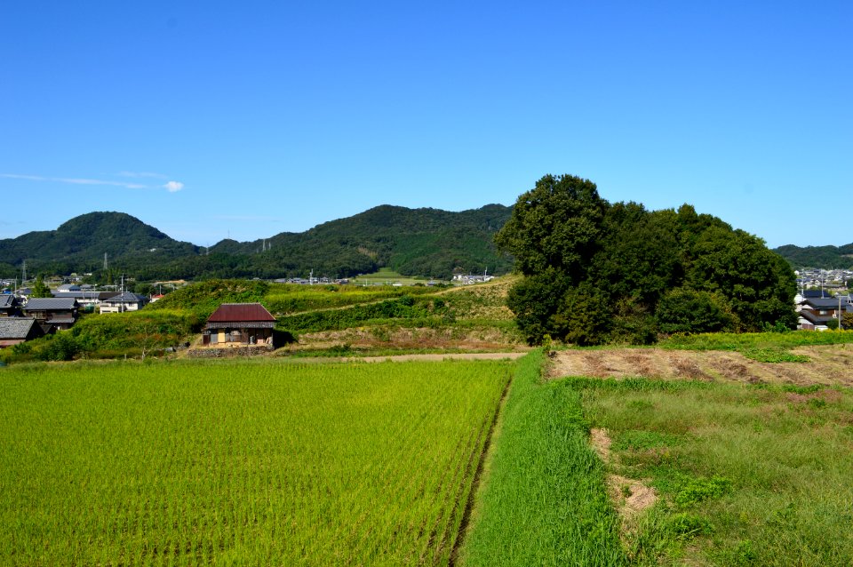 Tomida Chausuyama Kofun, zenkei-2