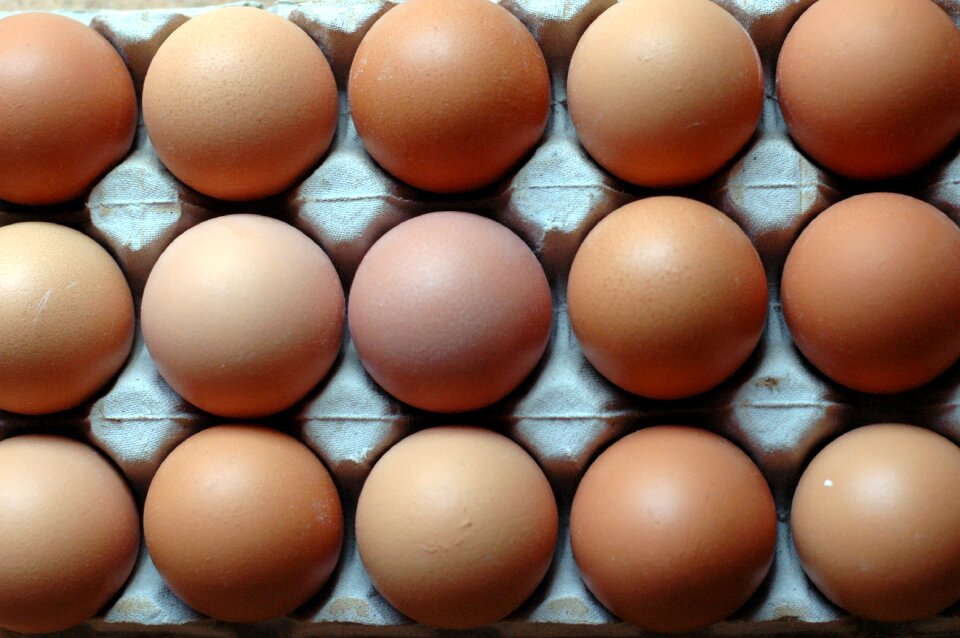Nutrition brown egg brown eggs