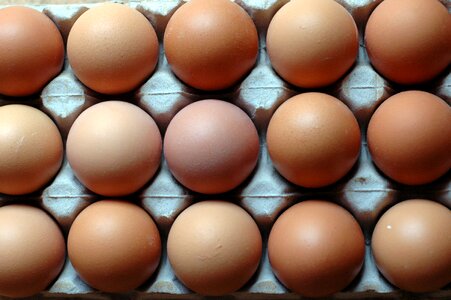Nutrition brown egg brown eggs