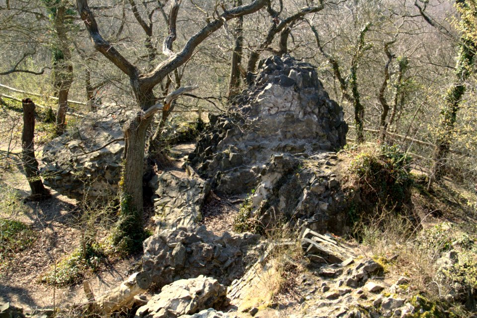 Tomburg Rheinbach 2012-03-25-25-6262