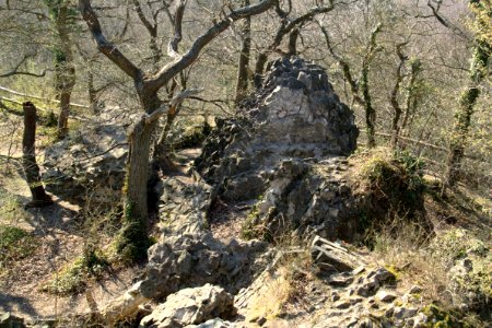 Tomburg Rheinbach 2012-03-25-25-6262