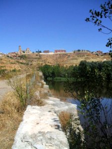 Toro - Puente de Piedra 4