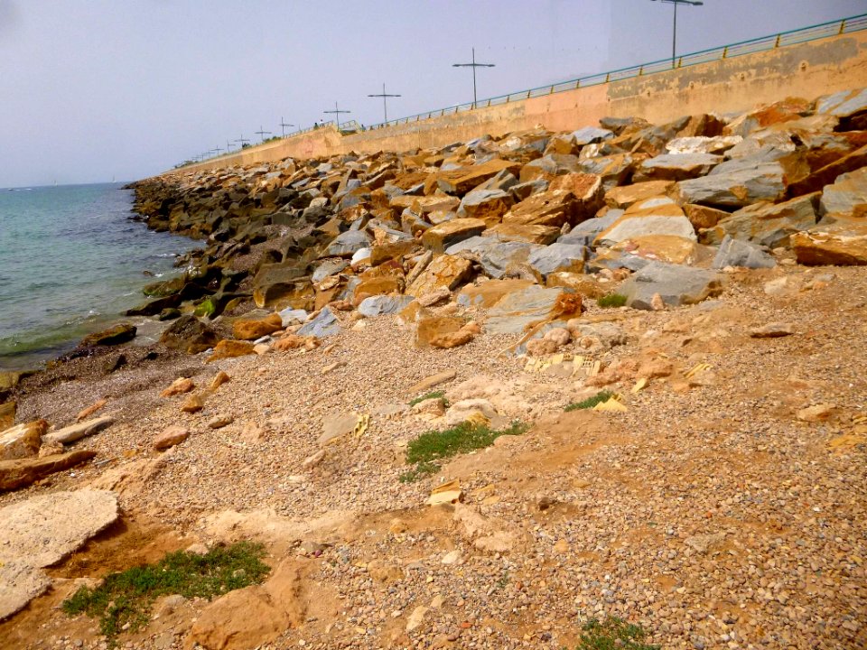 Torrevieja - Colonia felina protegida 2