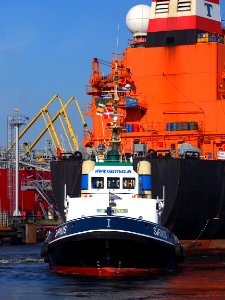 Torm Ragnhild, IMO 9290579 & Sirius Sirius IMO 7700180 at Port of Amsterdam, pic7