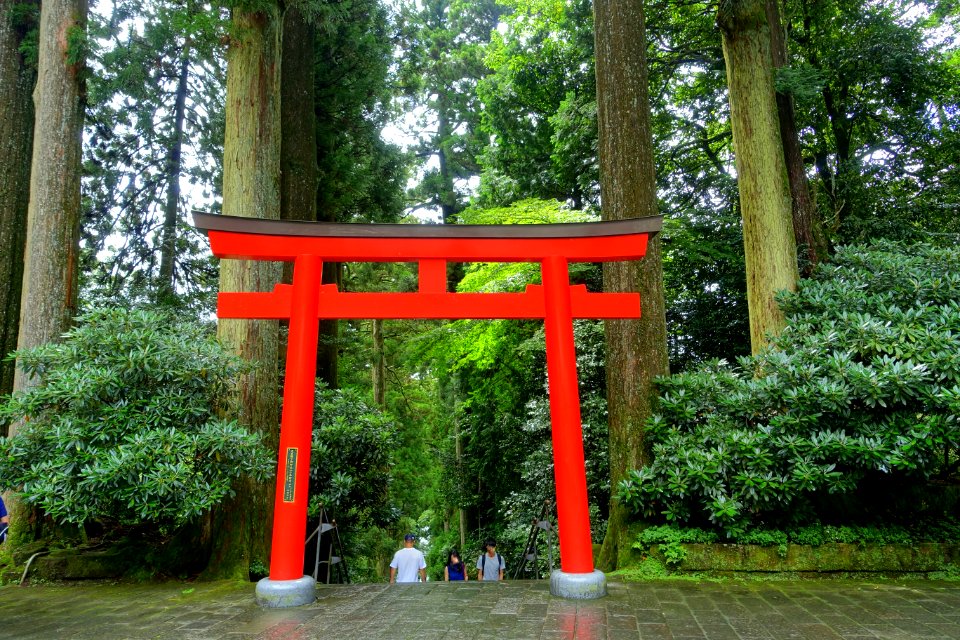 Torii - Hakone-jinja - Hakone, Japan - DSC05797