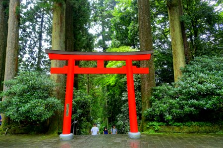 Torii - Hakone-jinja - Hakone, Japan - DSC05797