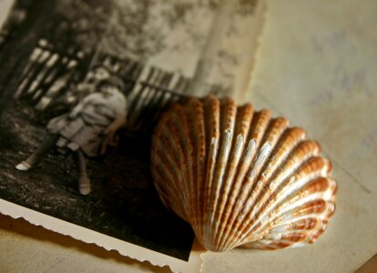 Recording shell souvenir photo