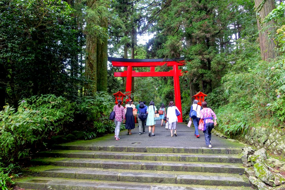 Torii - Hakone-jinja - Hakone, Japan - DSC05892